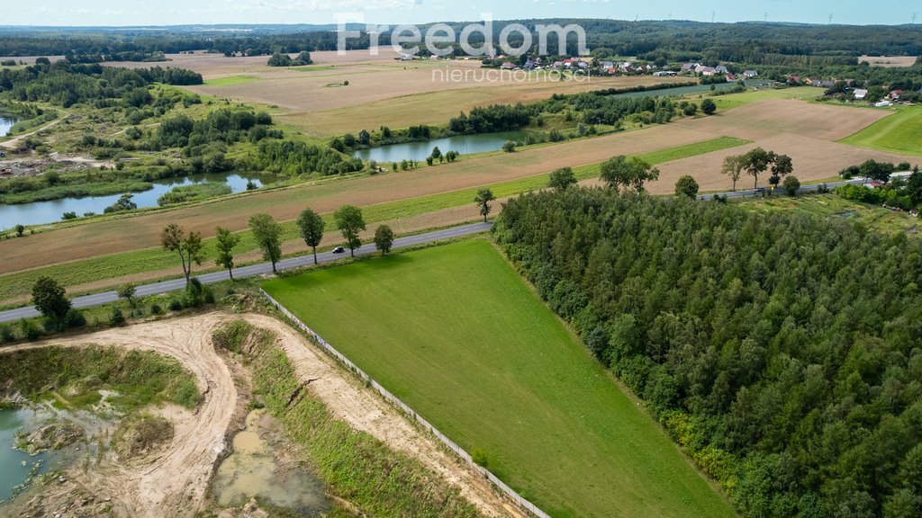 Działka budowlana na sprzedaż Warcz  7 100m2 Foto 16