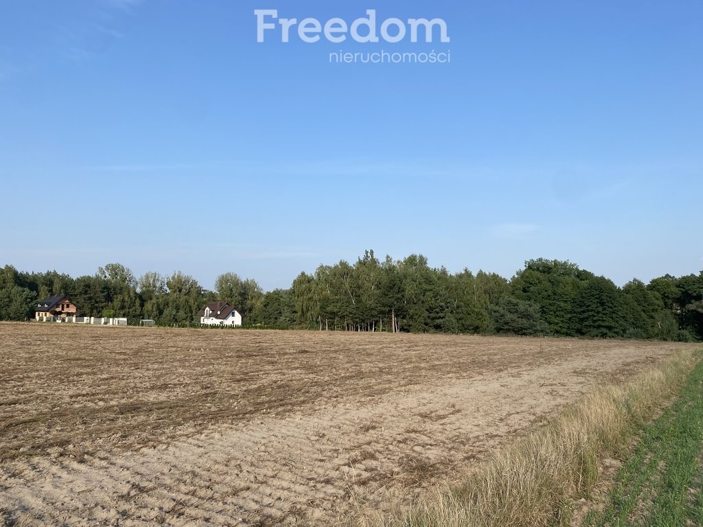 Działka rolna na sprzedaż Ciechocin  9 200m2 Foto 5