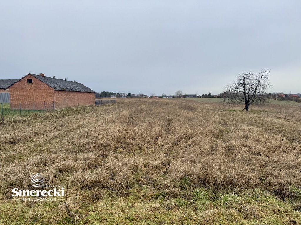 Działka inna na sprzedaż Pachnowola  5 964m2 Foto 8