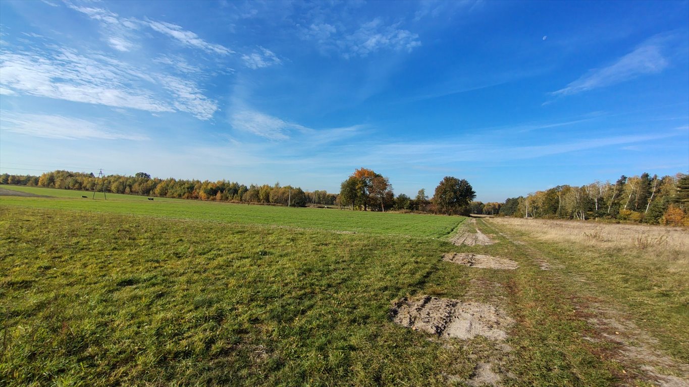 Działka budowlana na sprzedaż Brzozowica, Brzozowica  830m2 Foto 4