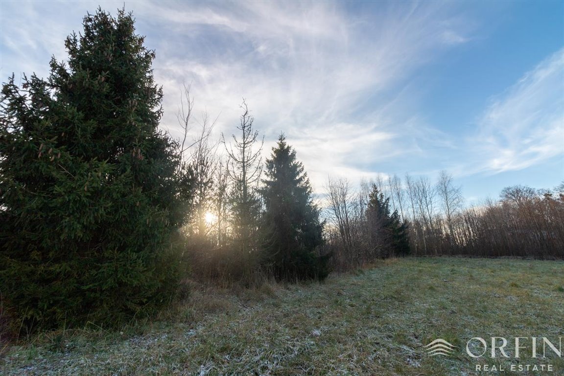 Działka budowlana na sprzedaż Łapino Kartuskie, Rdestowa  1 600m2 Foto 5