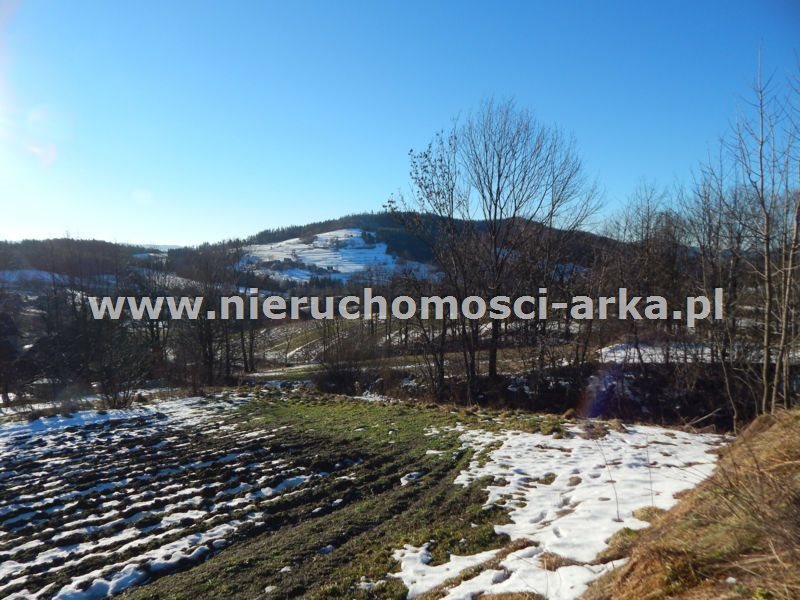 Działka budowlana na sprzedaż Wilczyce 1 900m2 Foto 1 Działka budowlana na sprzedaż Wilczyce 1 900m2 Foto 1