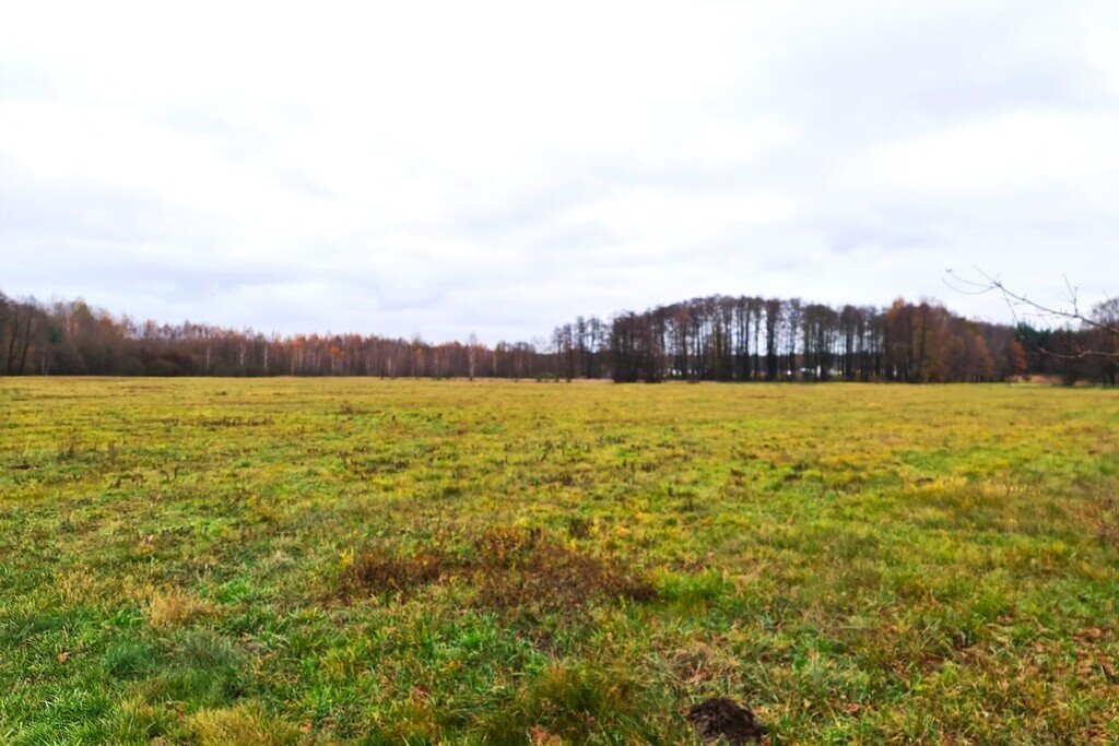 Działka siedliskowa na sprzedaż Brzuza  9 400m2 Foto 3