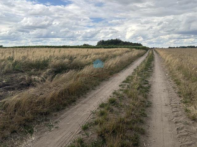 Działka przemysłowo-handlowa na sprzedaż Łubowo, Rzegnowo, Rzegnowo  5 000m2 Foto 1