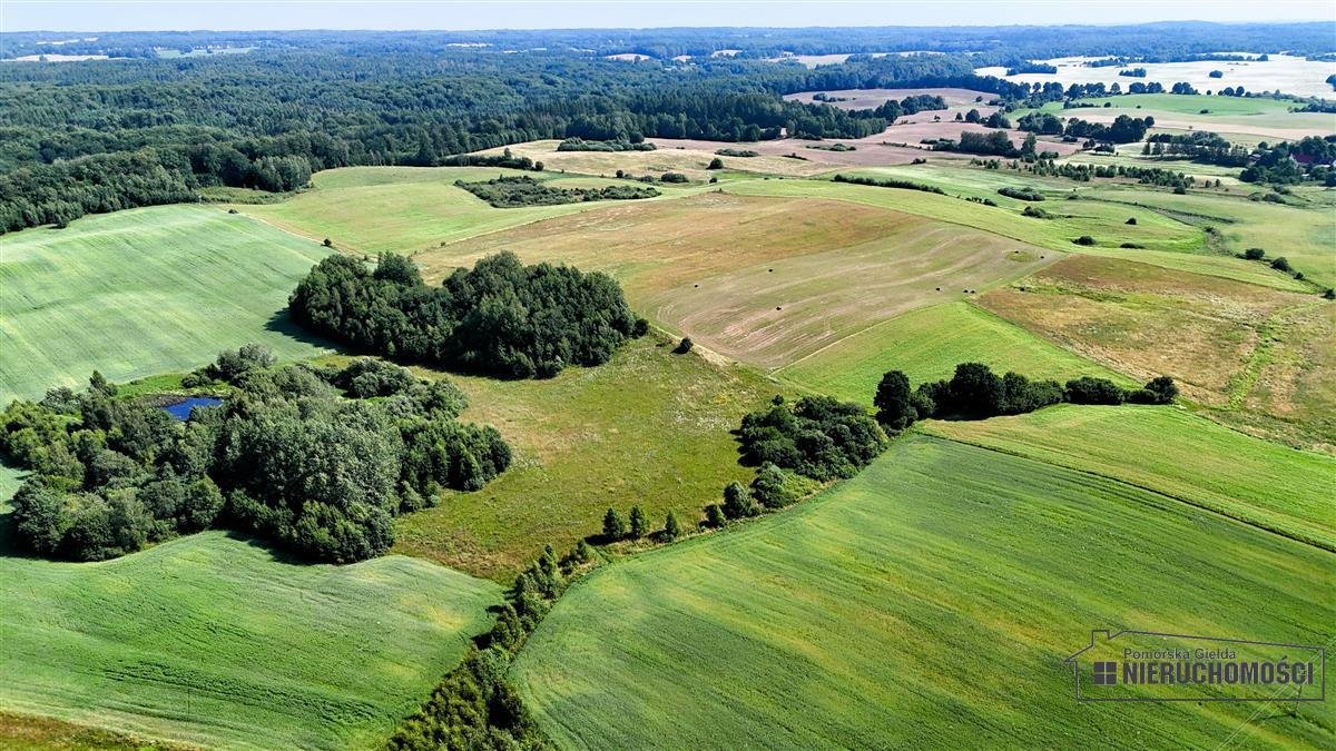 Działka inna na sprzedaż Mieszałki  368 800m2 Foto 11