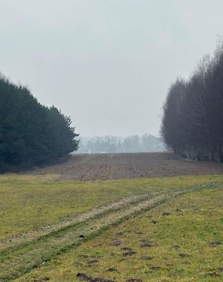 Działka 23 100 m² z dostępem do drogi i autostrady A2 Jakubów  23 100m2 Foto 1
