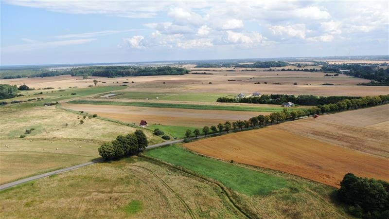 Działka inna na sprzedaż Rusinowo, 1101G  3 000m2 Foto 4