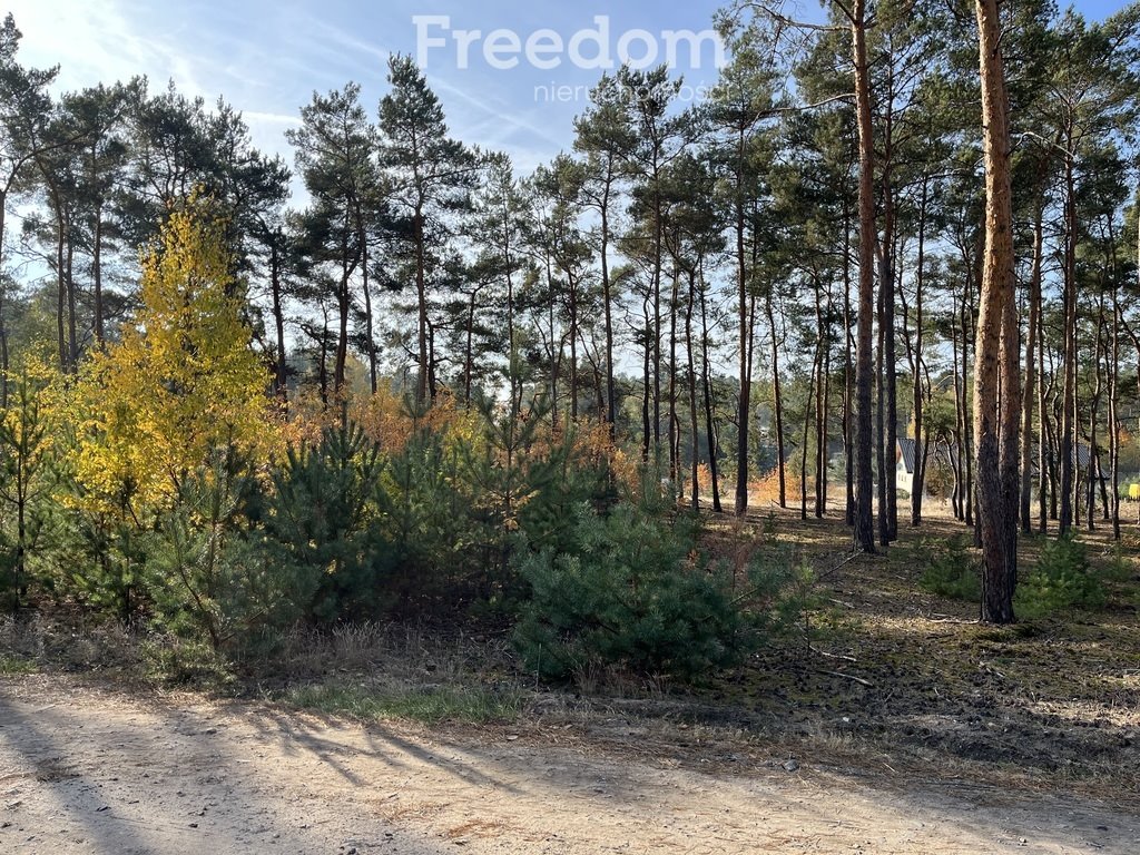 Działka budowlana na sprzedaż Czarne Błoto, Górna  1 000m2 Foto 1