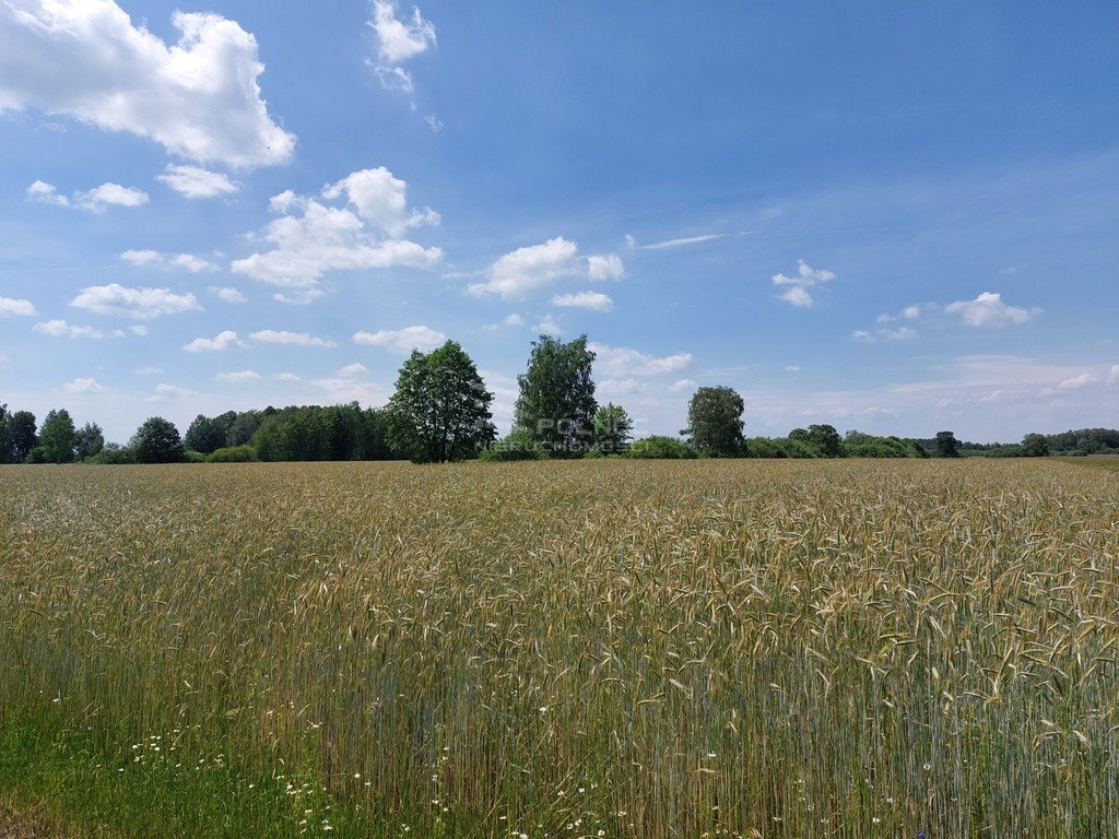 Działka rolna na sprzedaż Nietiahy  71 400m2 Foto 7