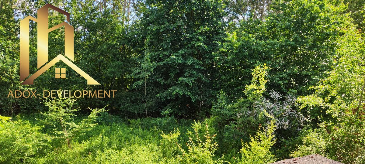 Działka z rozpoczętą budową, 1244 m2, las, studnia, prąd Nowy Prażmów  1 244m2 Foto 1