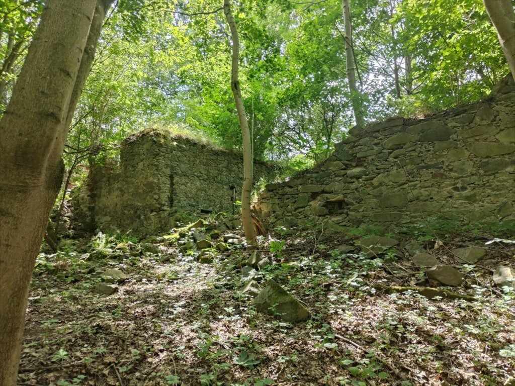 Działka leśna na sprzedaż Wojcieszów, Bolesława Chrobrego  8 241m2 Foto 6