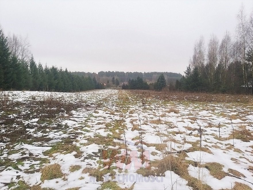 Działka siedliskowa na sprzedaż Mogielnica  33 800m2 Foto 16