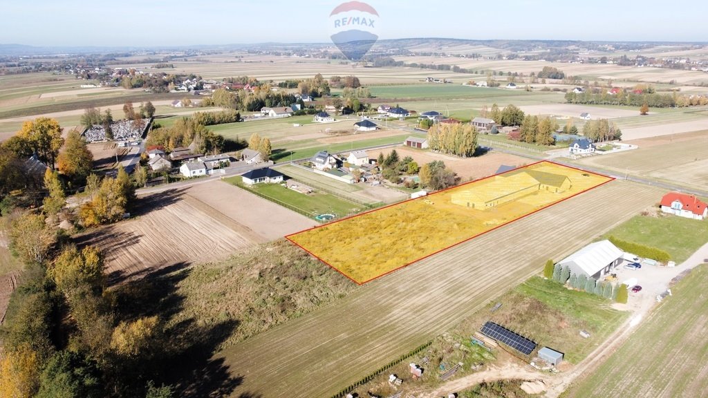 Lokal użytkowy na sprzedaż Tarczek  1 374m2 Foto 5