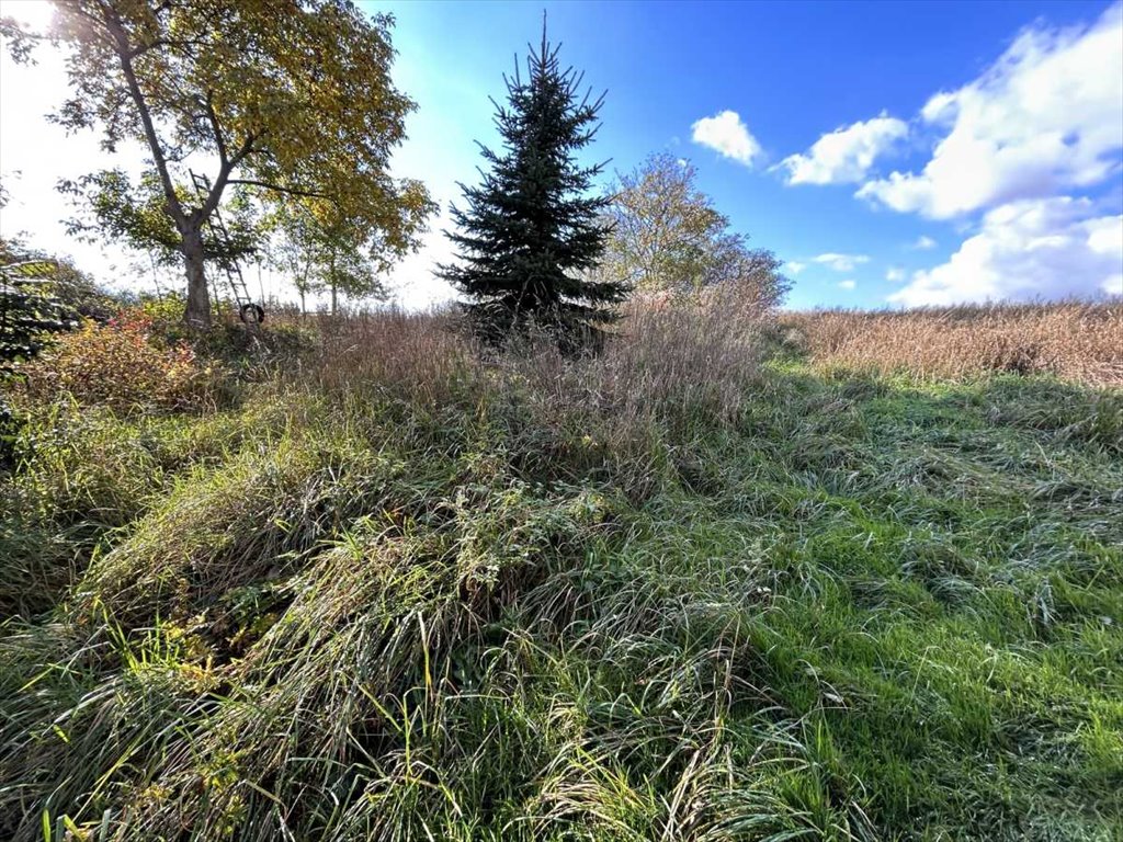 Dom na sprzedaż Lubnów, Lubnów  94m2 Foto 6