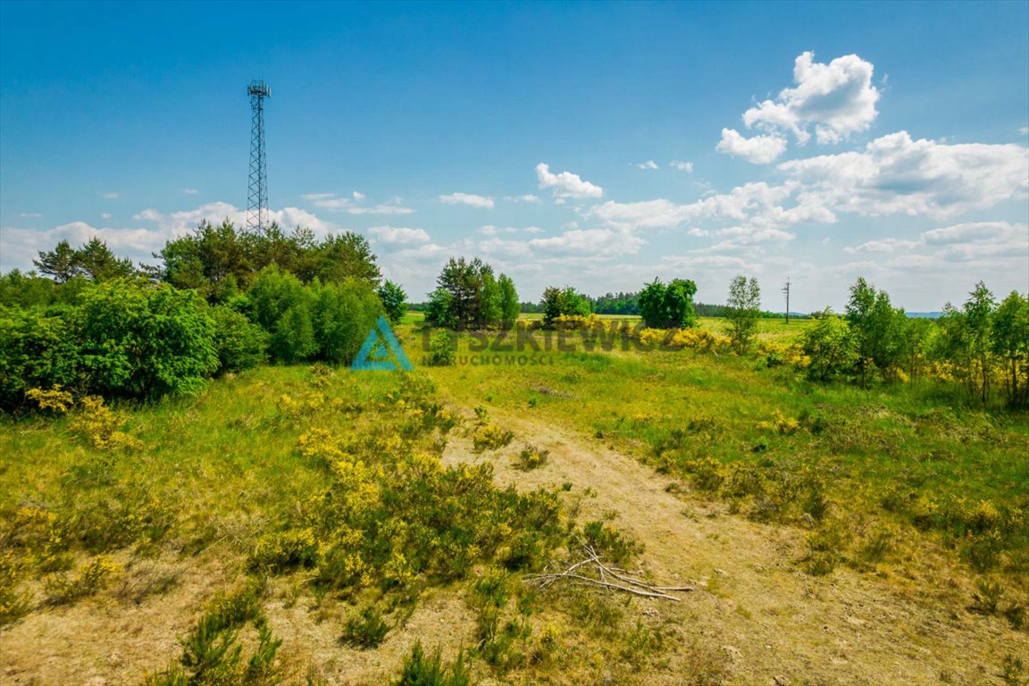Działka rolna na sprzedaż Dębnica Kaszubska, Piaskowa  10 428m2 Foto 7