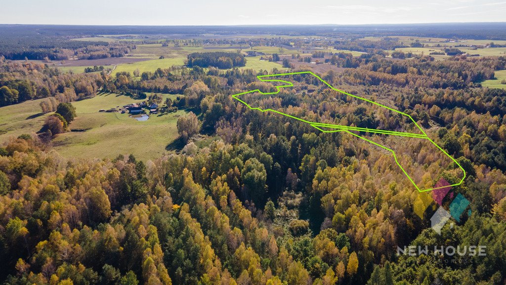 Działka siedliskowa na sprzedaż Butryny  110 000m2 Foto 6