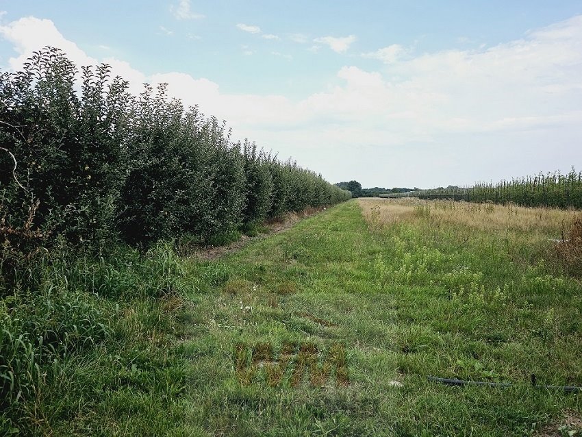 Dom na sprzedaż Mogielnica  140m2 Foto 18