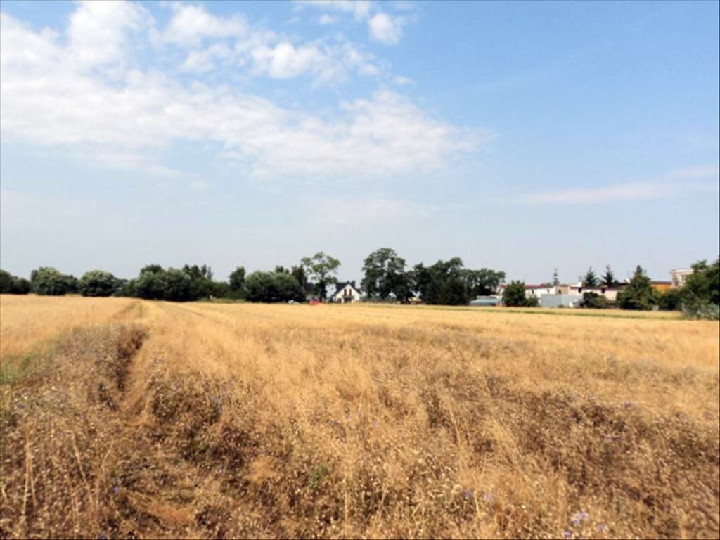 Działka inna na sprzedaż Niepruszewo, Buk 1 100m2 Foto 1 Działka inna na sprzedaż Niepruszewo, Buk 1 100m2 Foto 1