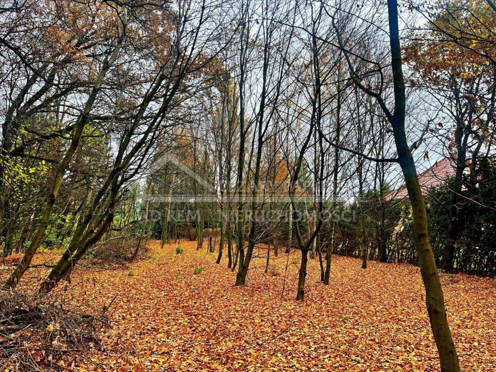 Działka rekreacyjna na sprzedaż Konopnica, Konopnica  2 200m2 Foto 4