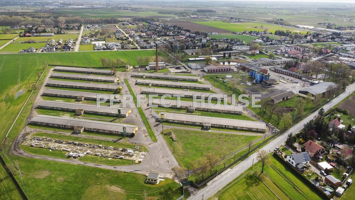 Ferma drobiu z pełną infrastrukturą, 13,7 ha, blisko Poznania Paczkowo  13 743m2 Foto 1