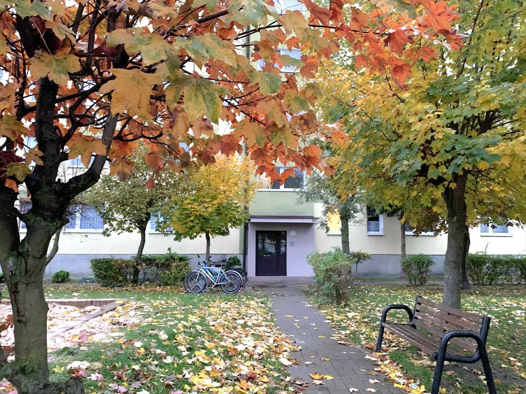 Mieszkanie czteropokojowe  na sprzedaż Kłodawa, Kłodawa, Józefa Grzymskiego  56m2 Foto 1