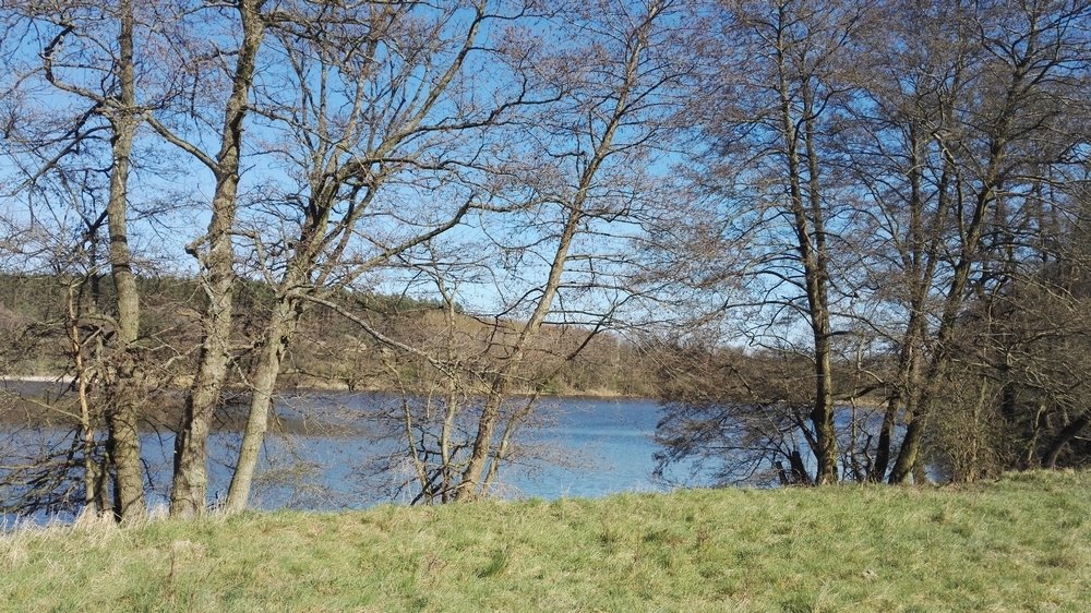 Działka nad jeziorem 2,04 ha z warunkami zabudowy zapraszam Chłopowo  20 400m2 Foto 1