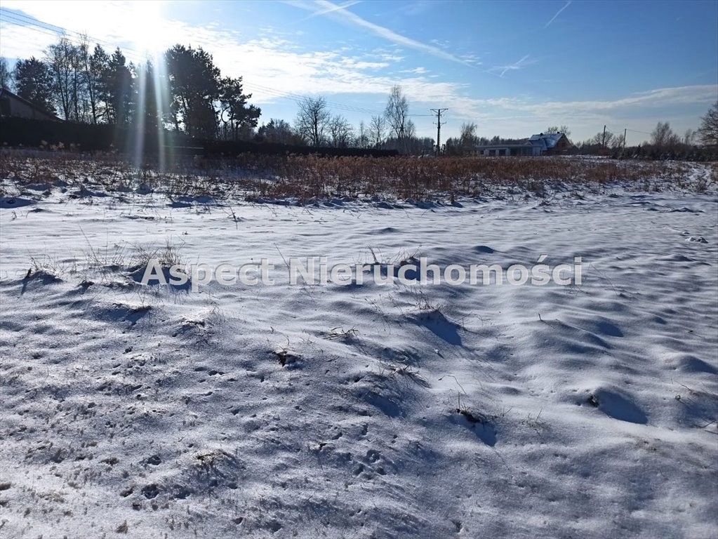 Działka budowlana na sprzedaż Wodzisław Śląski  8 600m2 Foto 5