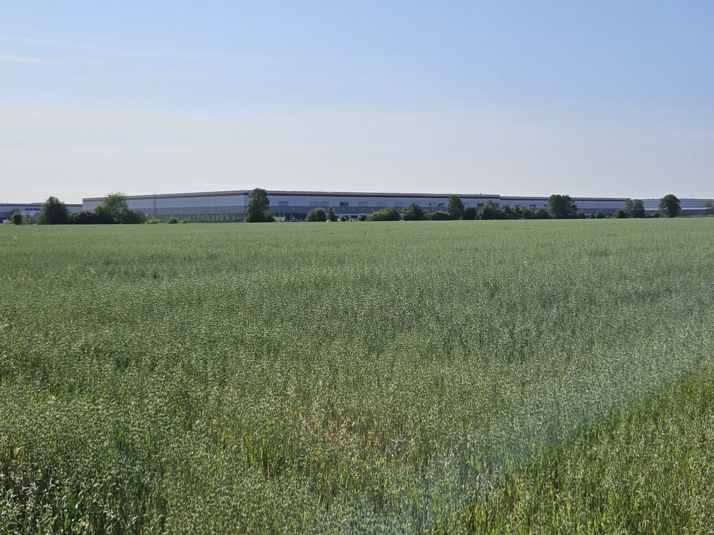 Działka 11,7 ha w Szamotach – idealna pod inwestycję Szamoty  117 116m2 Foto 1