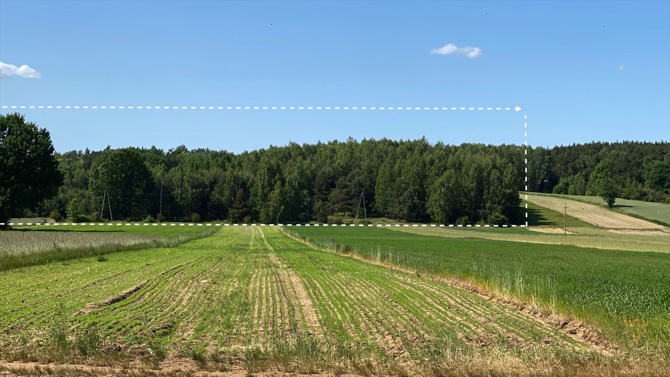 Działka rekreacyjna na sprzedaż Grotowice  33 300m2 Foto 1