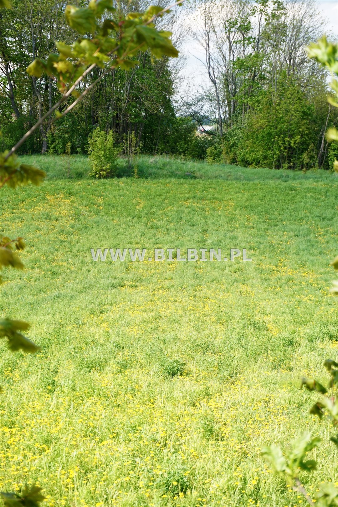 Działka 4599 m² pod zabudowę przy jeziorze Rozpuda Supienie  4 599m2 Foto 1