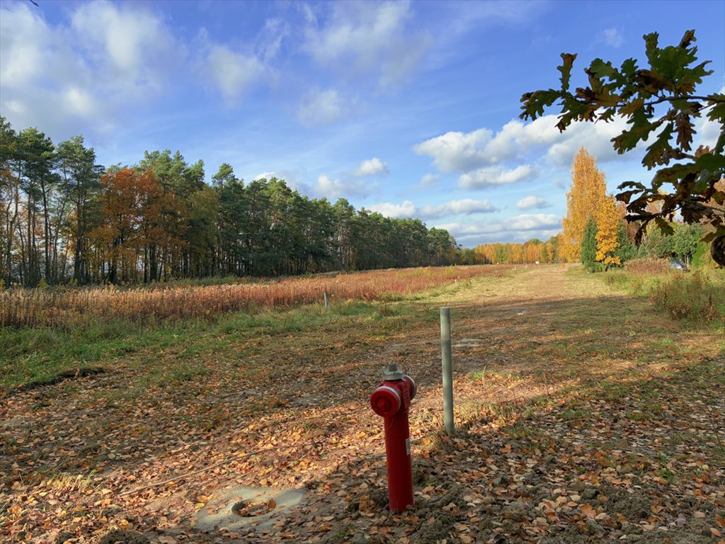Działka z lasem i zabudową, cicha okolica, 2300 m² Czerwińsk nad Wisłą, ROGUSZYN 22  2 300m2 Foto 1