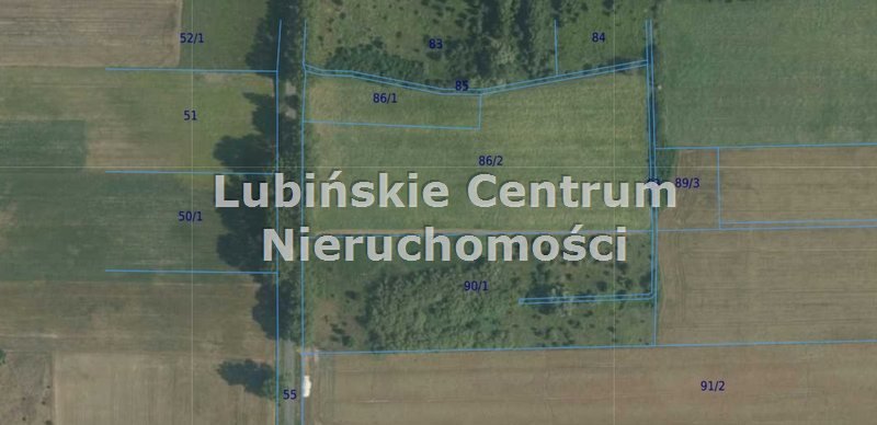 Działka inna na sprzedaż Raszowa  17 000m2 Foto 1