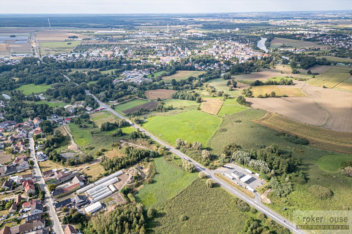 Działka inwestycyjna na sprzedaż Krapkowice, Kozielska  7 537m2 Foto 10