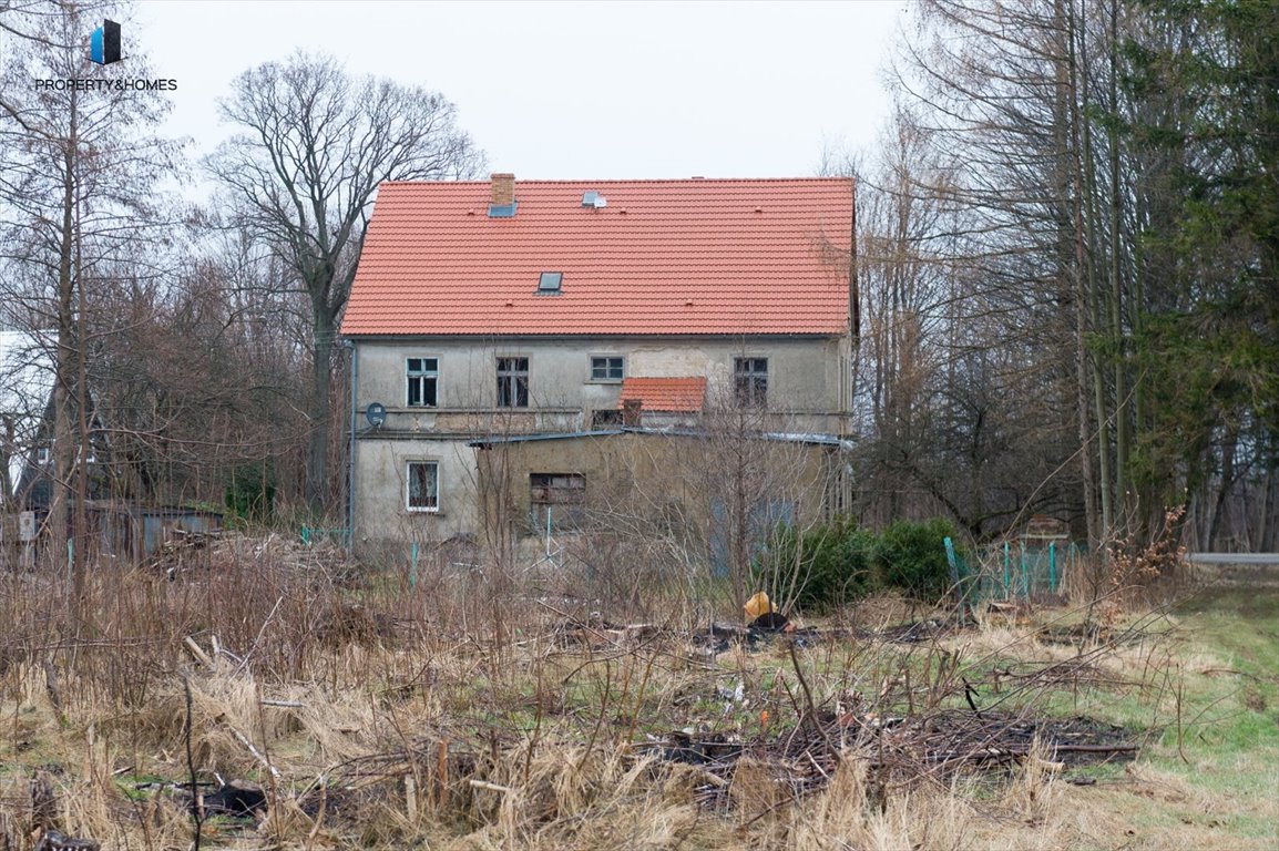 Działka inwestycyjna na sprzedaż Świeradów-Zdrój  5 423m2 Foto 14