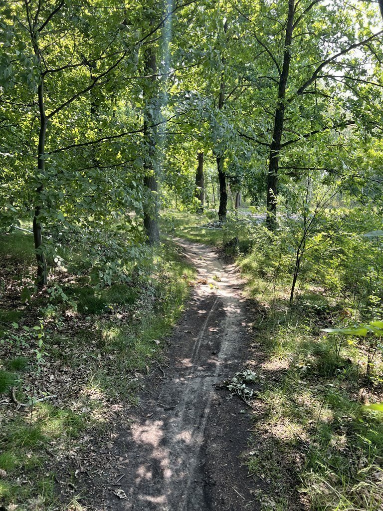 Działka budowlana na sprzedaż Kierszek, Prawdziwka  3 000m2 Foto 16