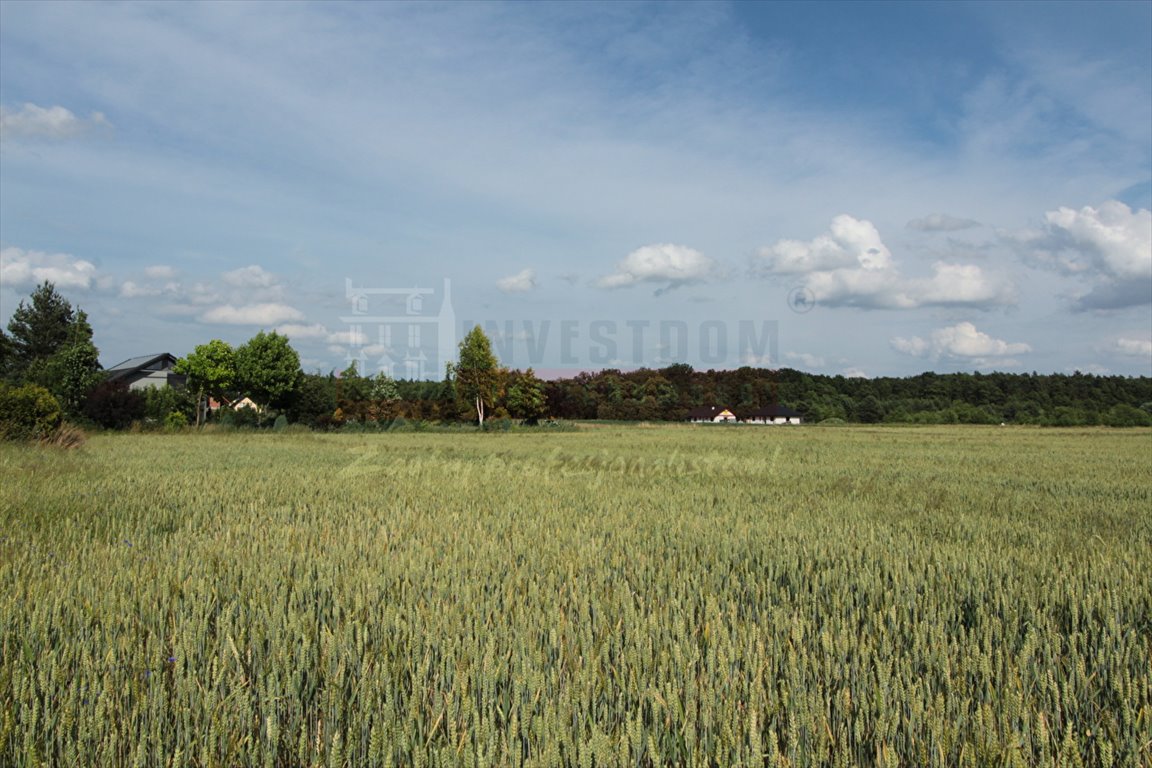 Na sprzedaż działka 13 arów z mediami i warunkami zabudowy Karczów  1 299m2 Foto 1