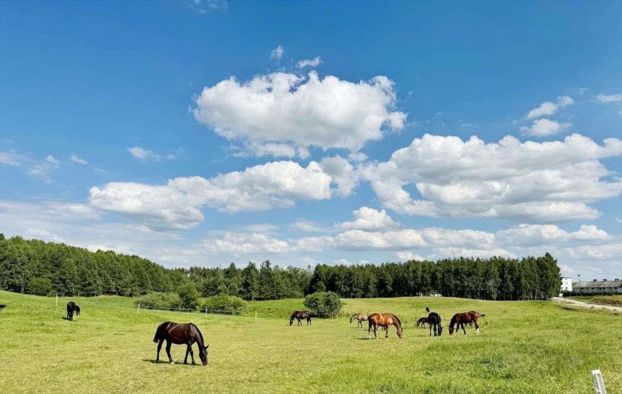 Działka budowlana na sprzedaż Gowidlino  1 271m2 Foto 1