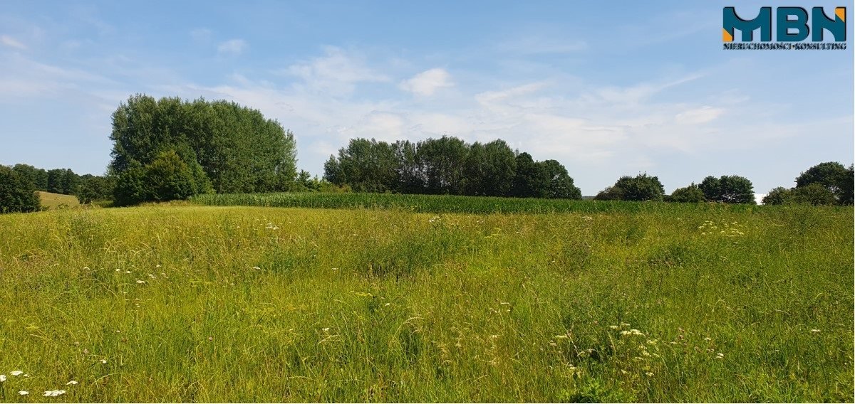 Działka rolna na sprzedaż Stręgielek, Stręgielek  3 035m2 Foto 6