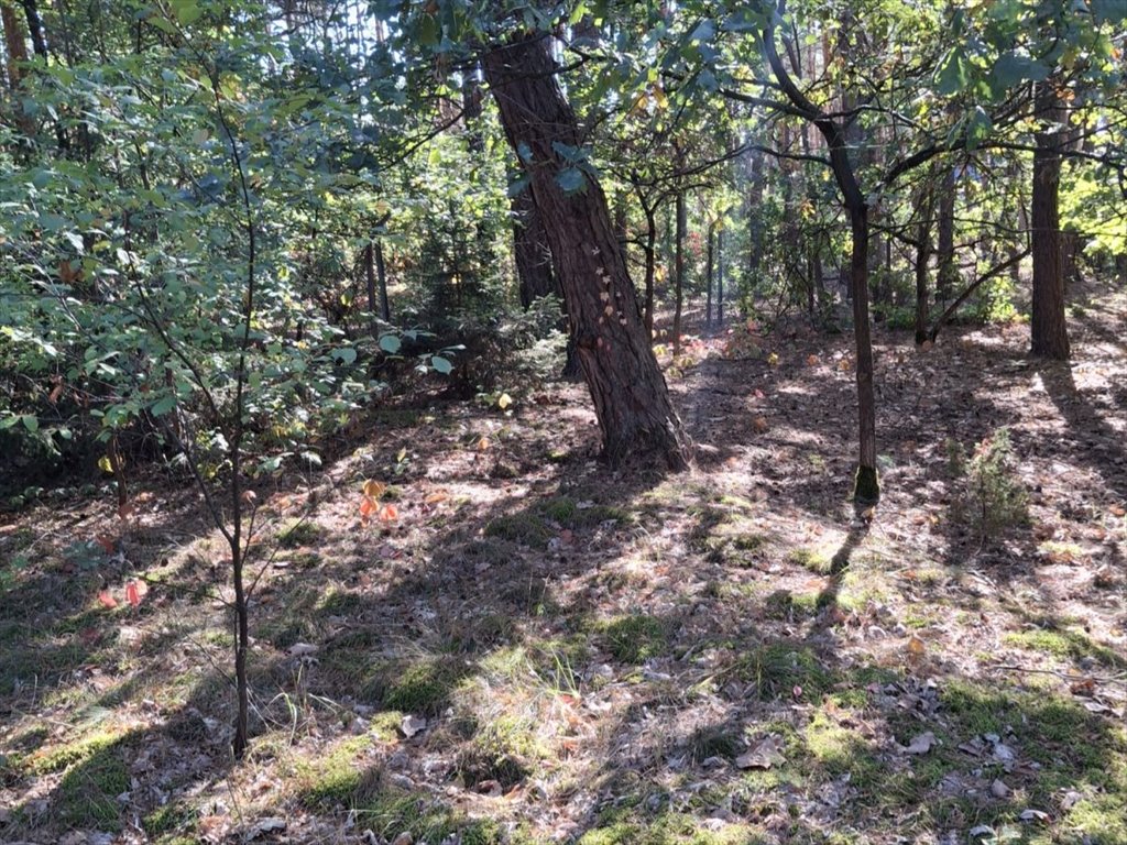 Działka budowlana na sprzedaż Nowa Wieś, Serocka  3 380m2 Foto 3