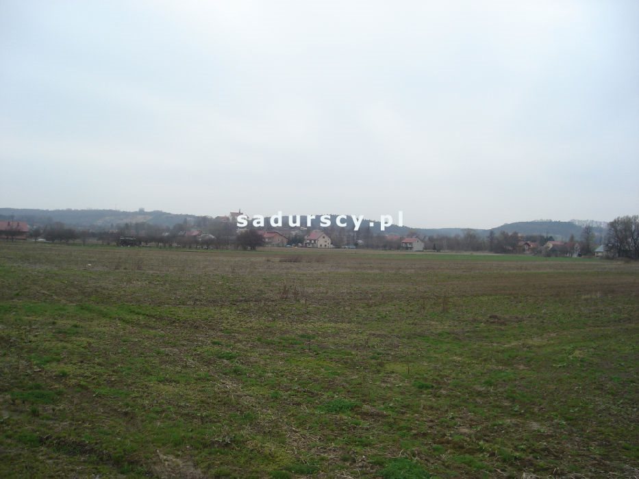 Działka inwestycyjna na sprzedaż Morawica  10 000m2 Foto 7
