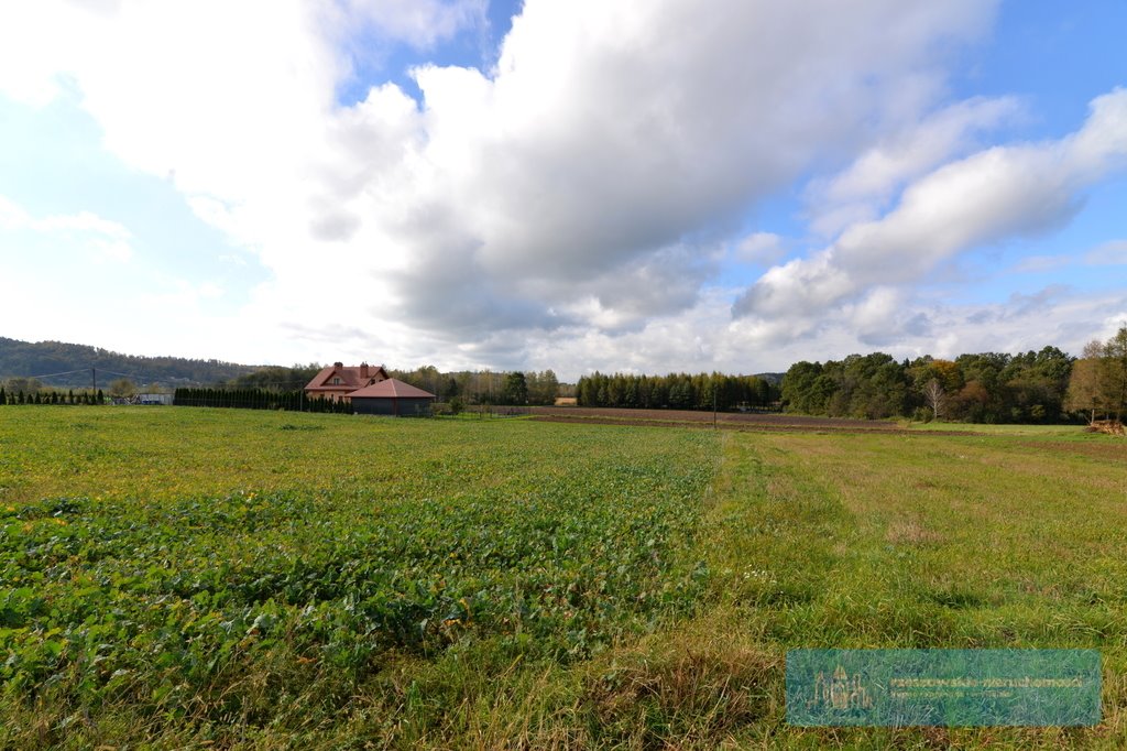 Działka budowlana na sprzedaż Bachórzec  1 900m2 Foto 4