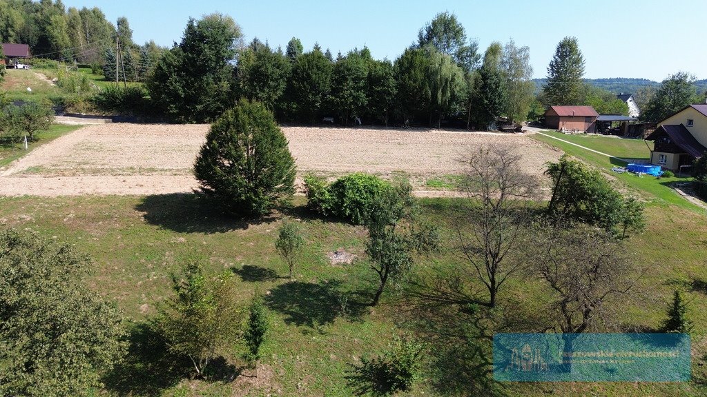 Działka budowlana na sprzedaż Glinik Zaborowski  6 000m2 Foto 5