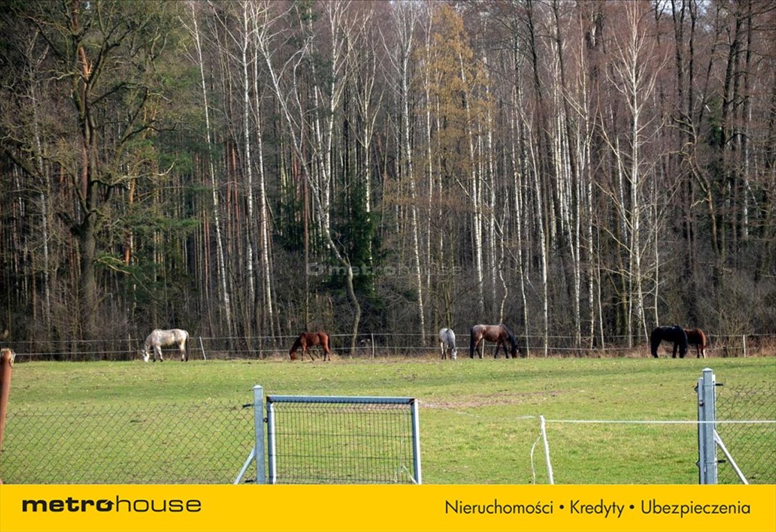 Działka inna na sprzedaż Leonów  8 470m2 Foto 9