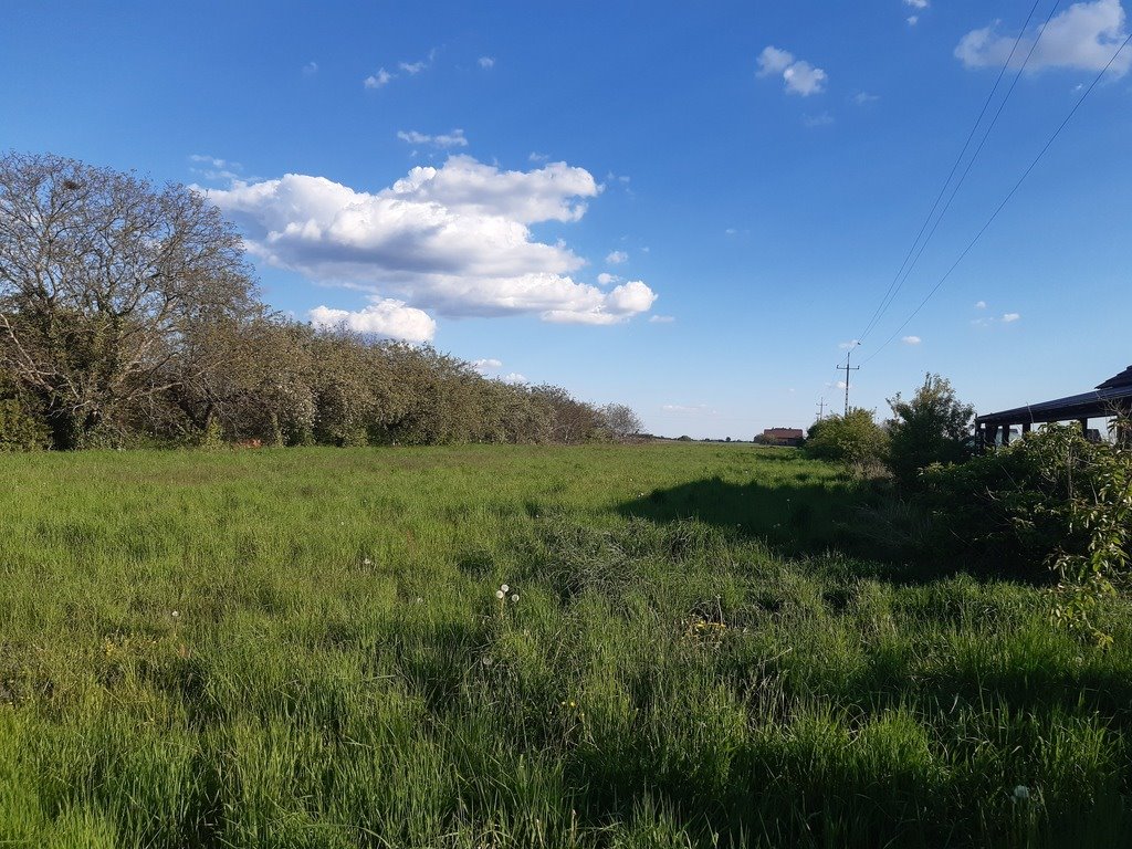 Działka budowlana na sprzedaż Łąkociny, Krotoszyńska  6 200m2 Foto 2