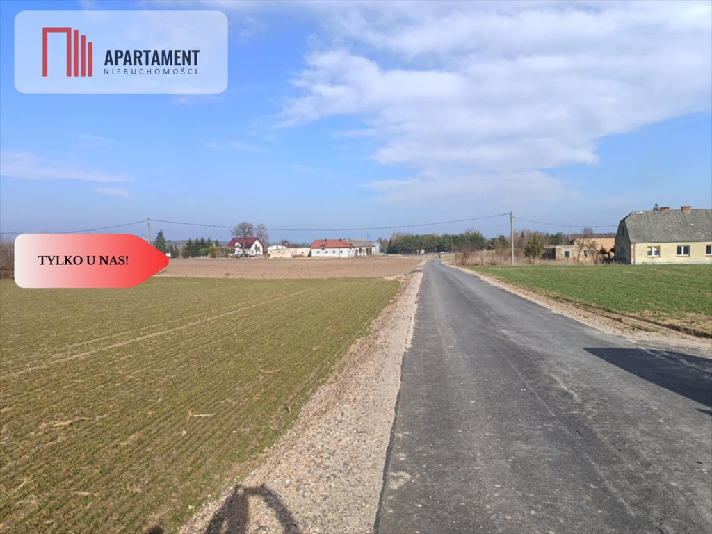 Działka budowlana na sprzedaż Osetno  11 800m2 Foto 11