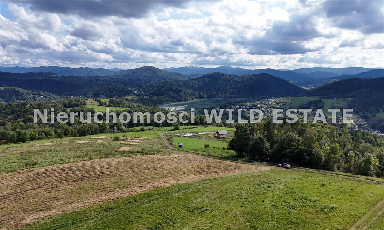 Działka budowlana na sprzedaż Solina, Wołkowyja  8 763m2 Foto 3