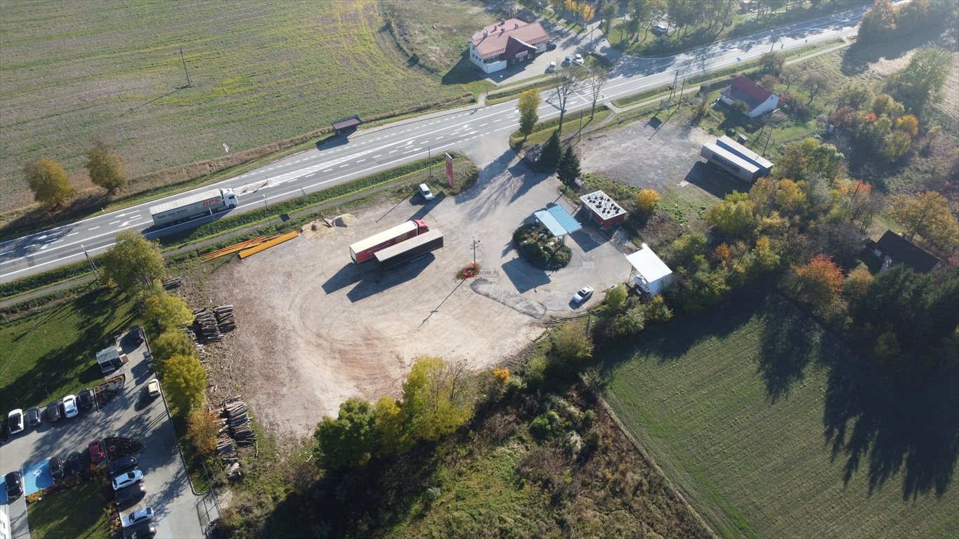 Lokal użytkowy na sprzedaż Strzeżów Drugi  7 501m2 Foto 4