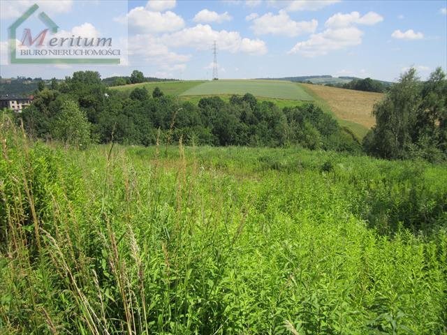 Działka budowlana na sprzedaż Nowy Sącz 2 600m2 Foto 1 Działka budowlana na sprzedaż Nowy Sącz 2 600m2 Foto 1