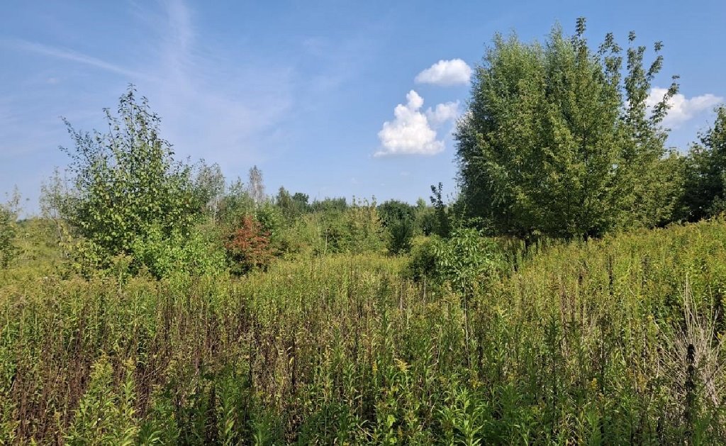 Działka komercyjna na sprzedaż Jabłonna  1 974m2 Foto 1