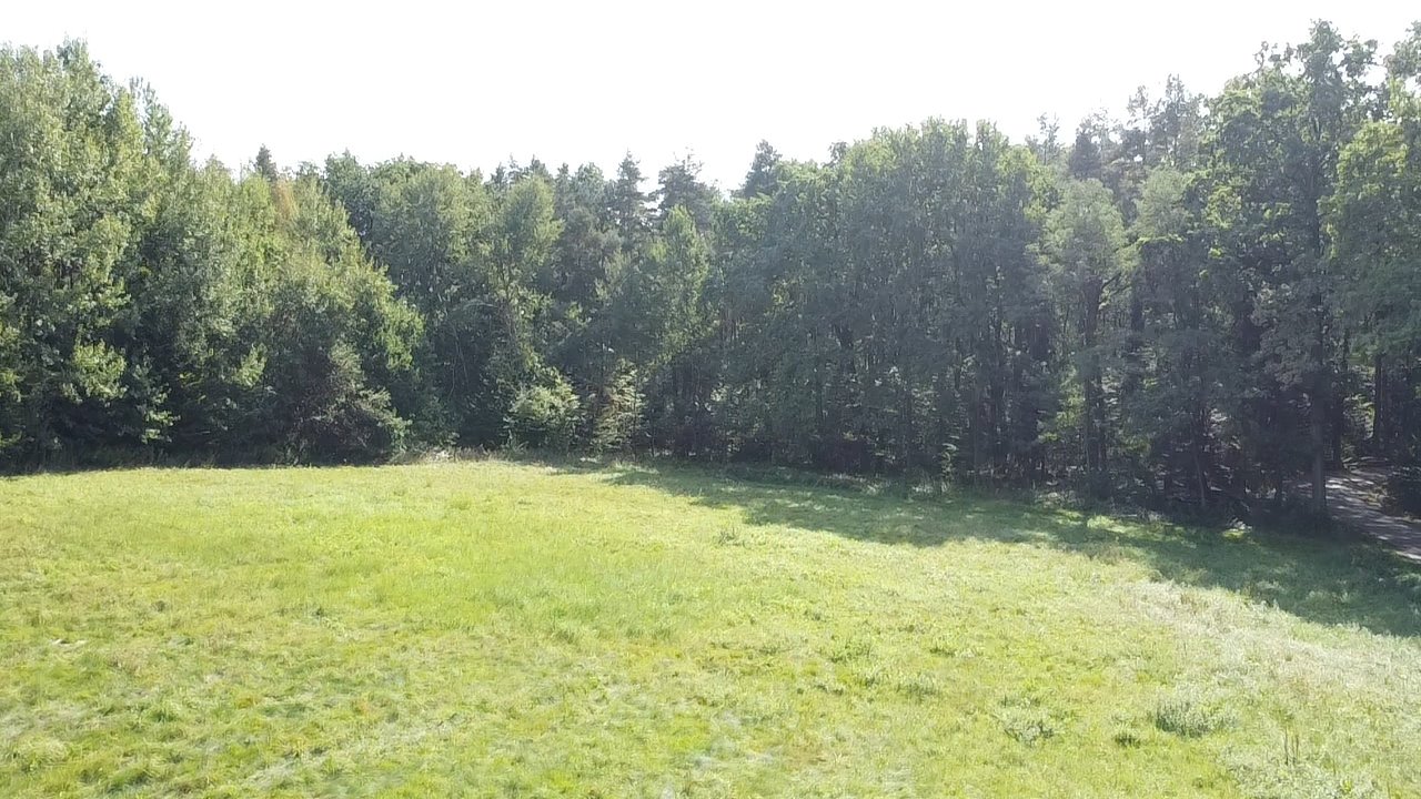 Działka budowlana na sprzedaż Kobylanka  6 000m2 Foto 6